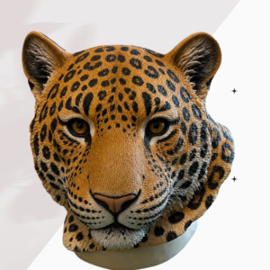 Leopardo